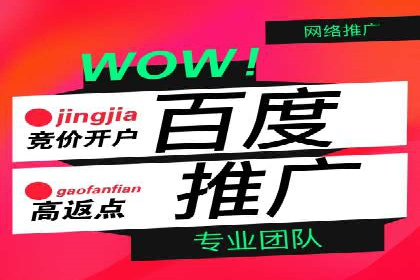 百度竞价个人账户开户技巧：成功案例分享与解析